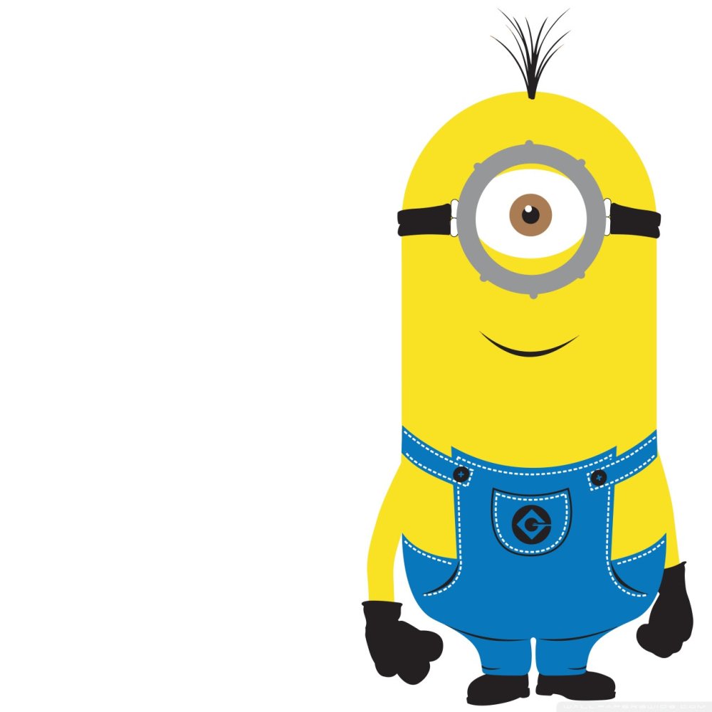 Миньон в очках