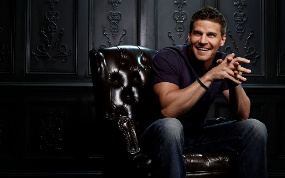 David Boreanaz
