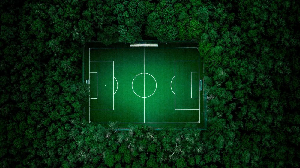 Поле вид сверху