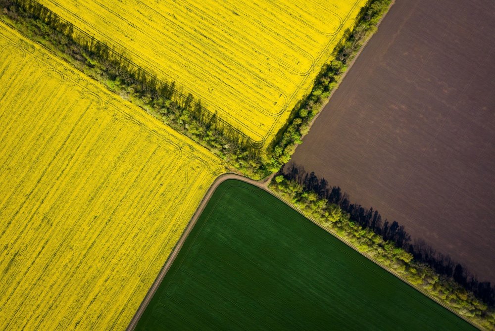 Поле вид сверху