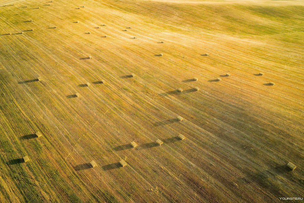 Поле вид сверху