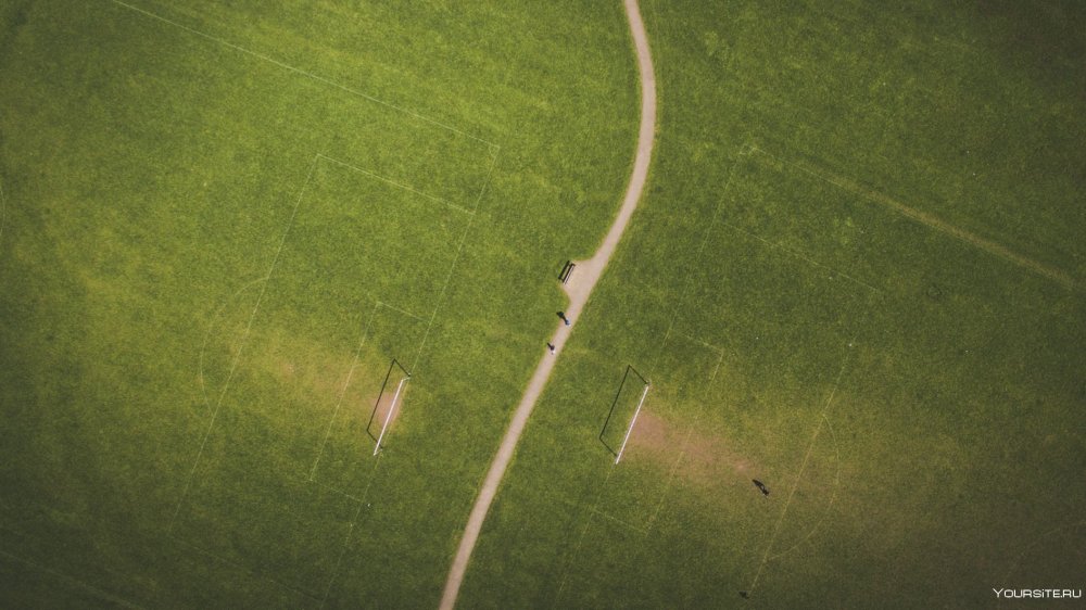 Поле вид сверху