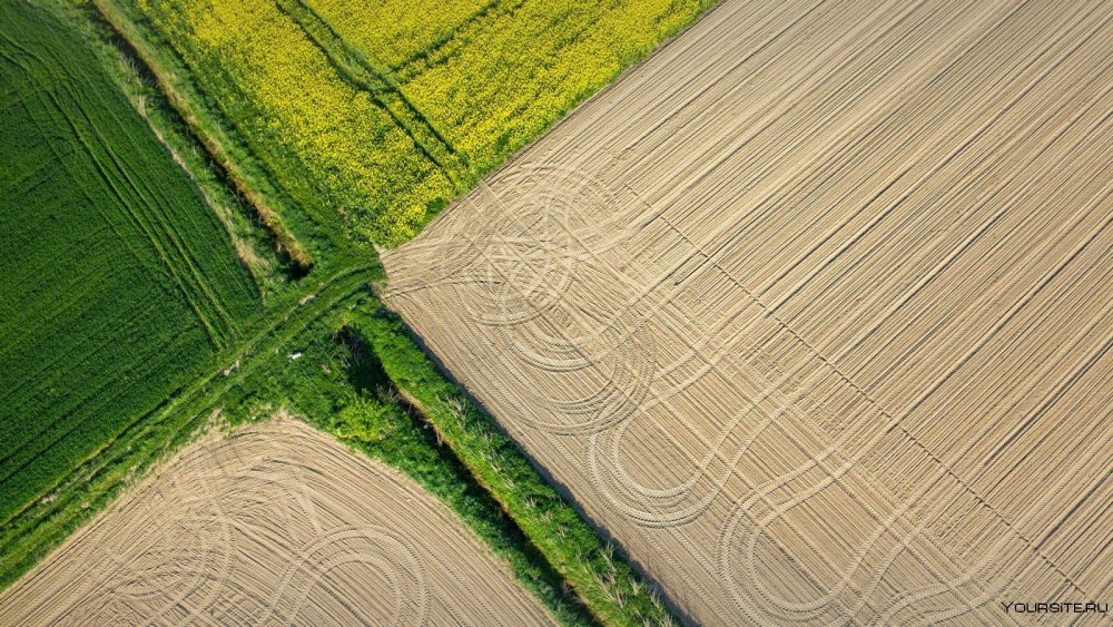 Поле вид сверху