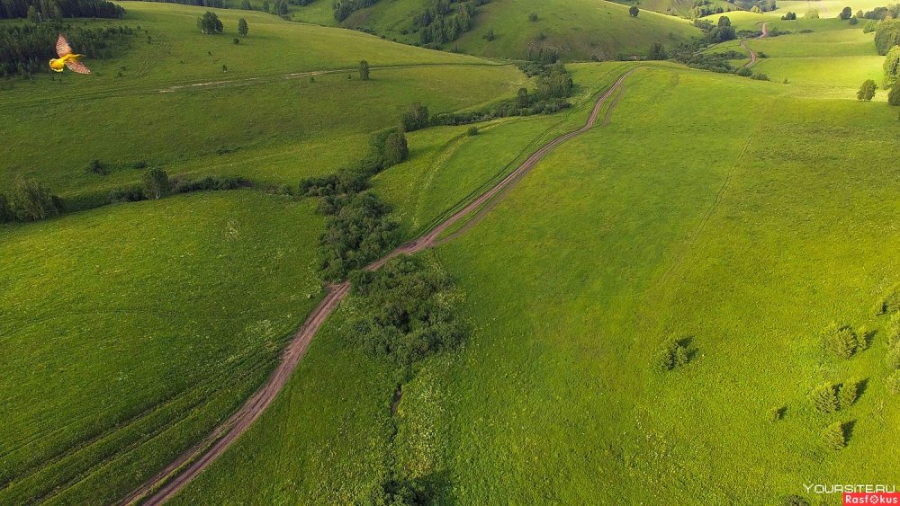 Дельта Иравади рисовые поля