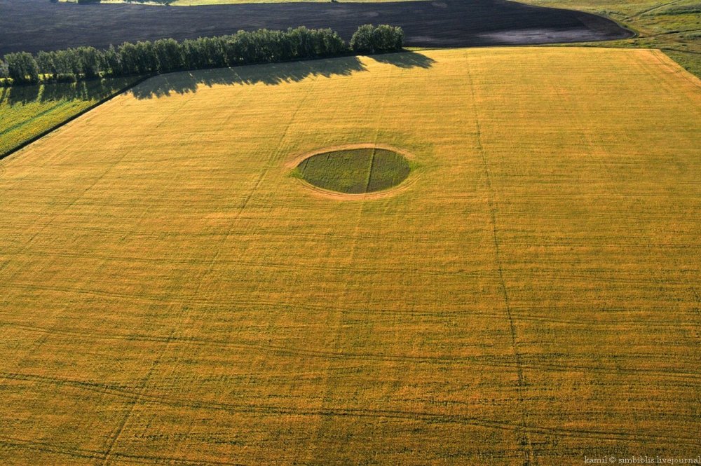 Земля с травой вид сверху