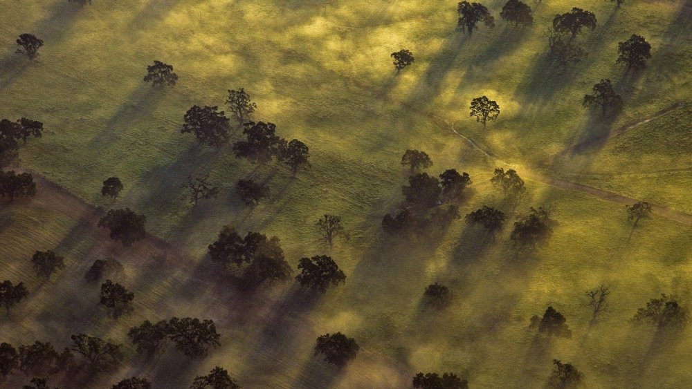 Поля вид сверху Графика