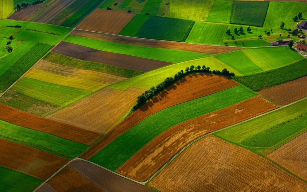 Поле вид сверху