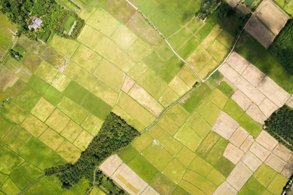 Дом в поле вид сверху