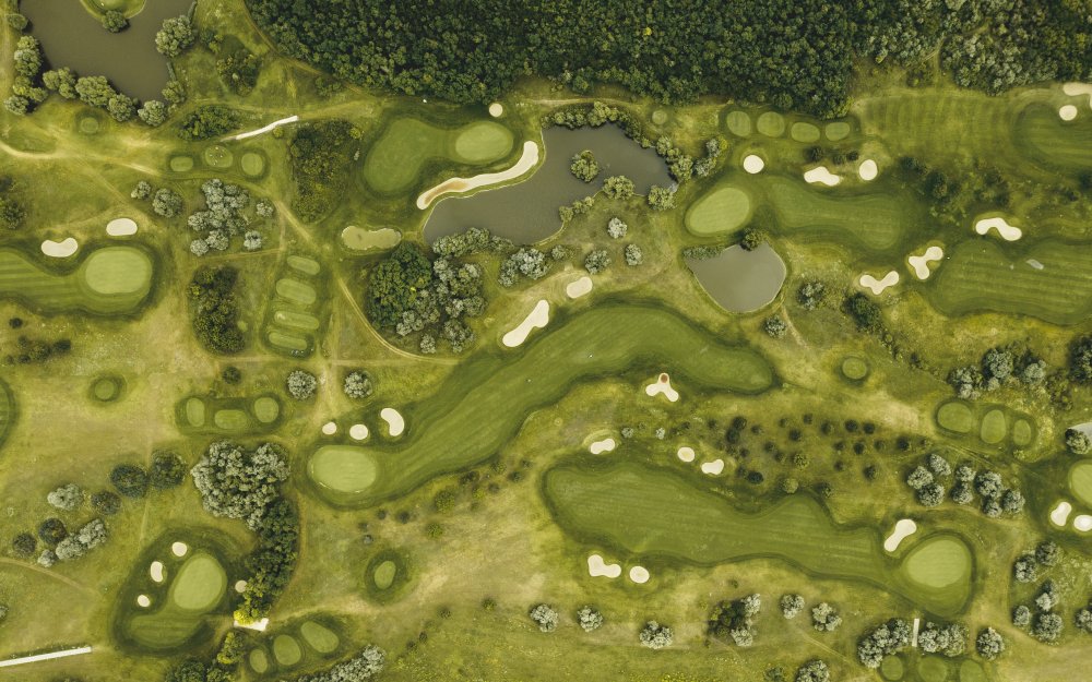 Трава вид сверху