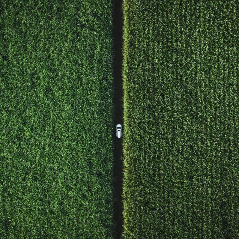 Поле боя вид сверху