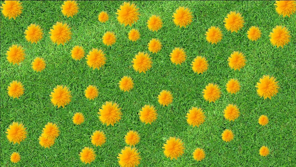 Battle Map DND деревня