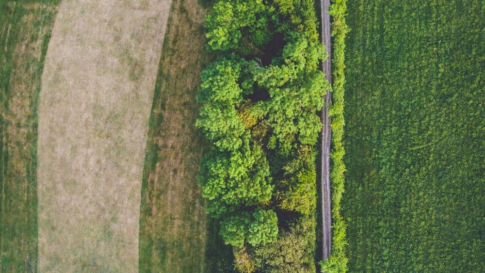 Футбольное поле ВТД свкрху