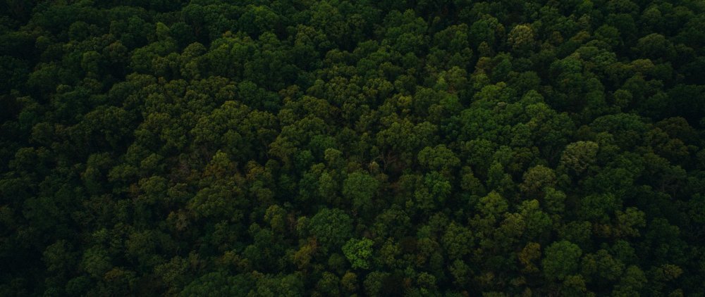 Игровое пол вид сверху