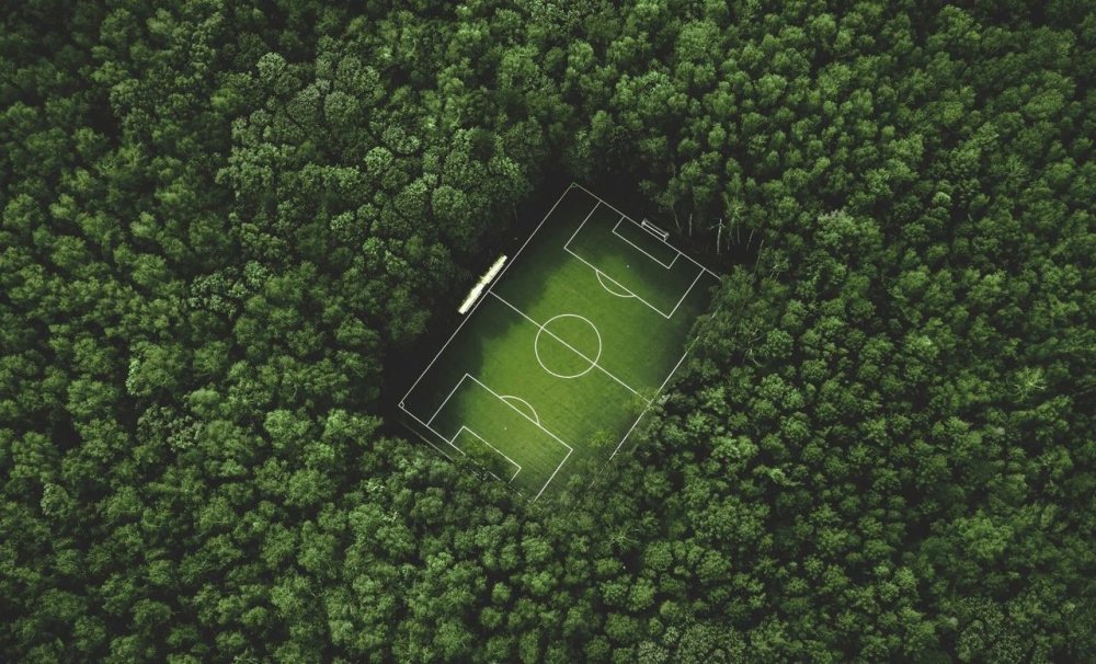 Зеленый газон