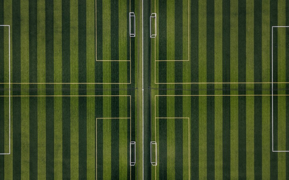 Засеянное поле вид сверху