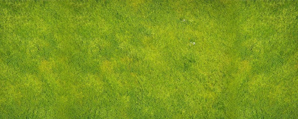 Мультяшный лес вид сверху