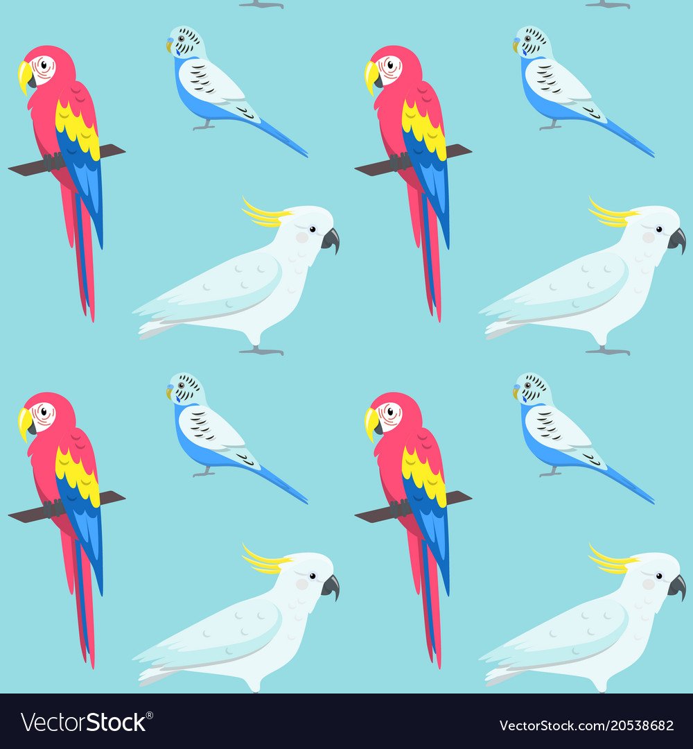 Волнистый попугайчик красный