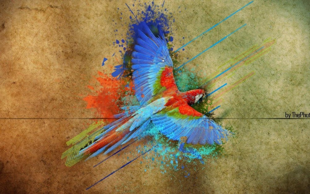 Попугай абстракция