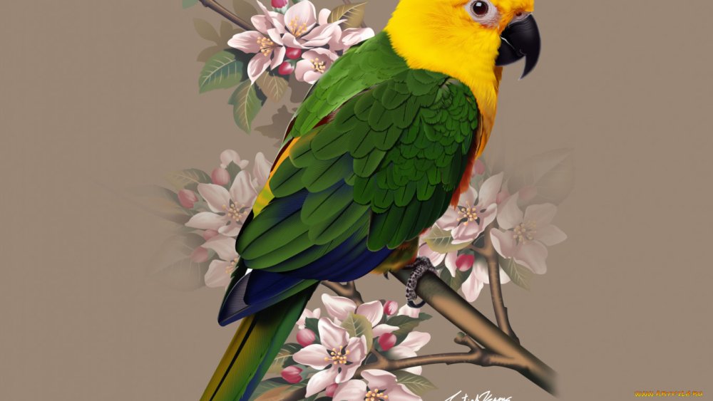 Фоторамка "попугай"