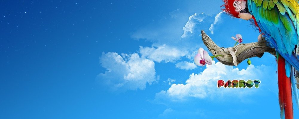 Попугай баннер