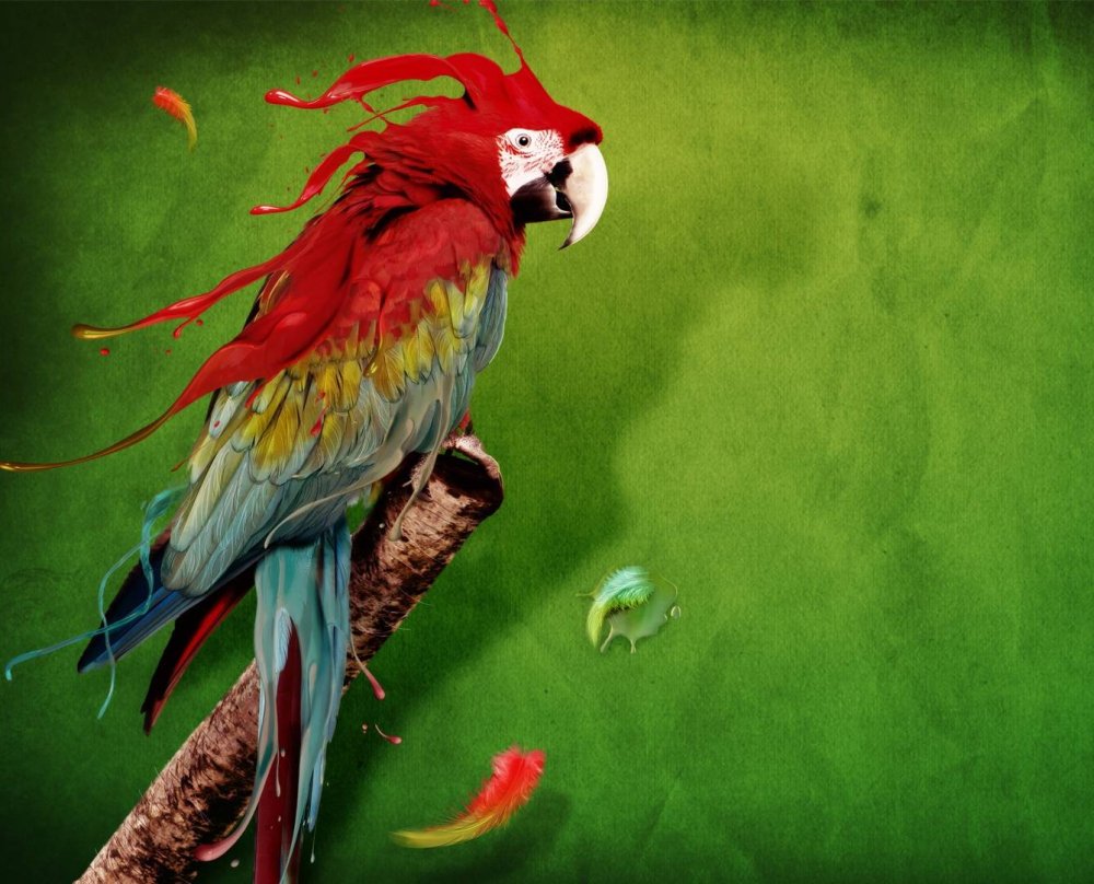 Попугай в полете
