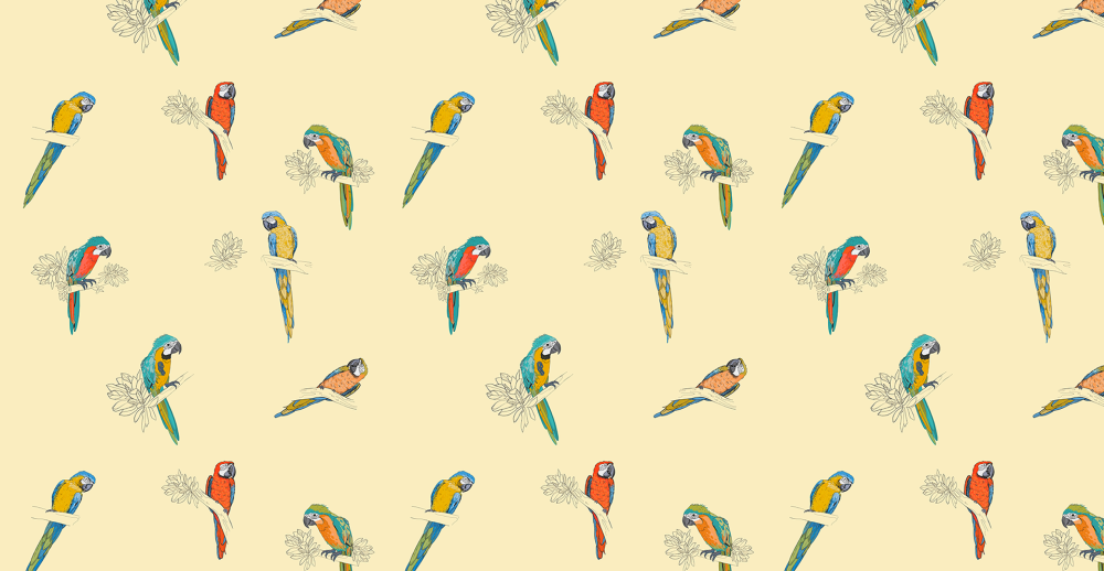 Веерный Амазон попугай