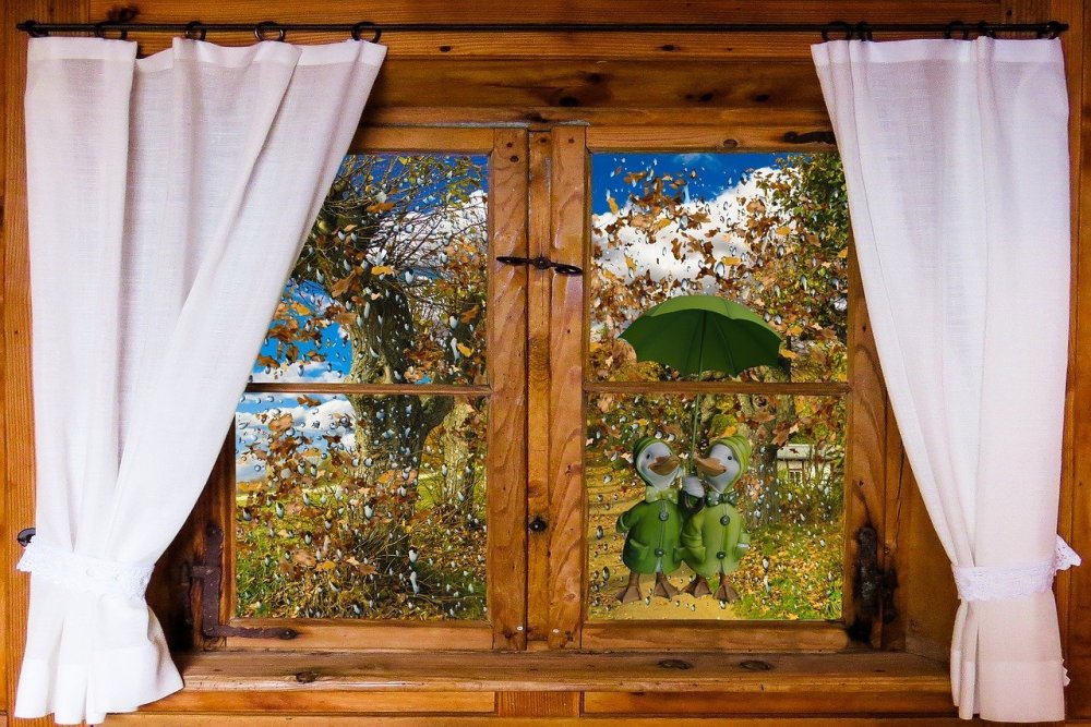 Шторы на окна