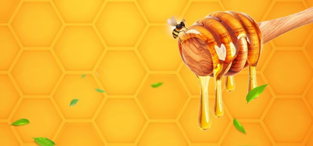 Улье пчел для детей детского сада