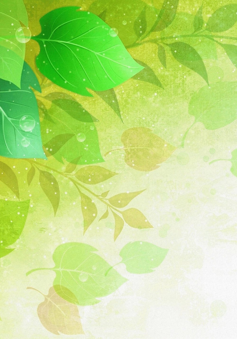 Экология фон