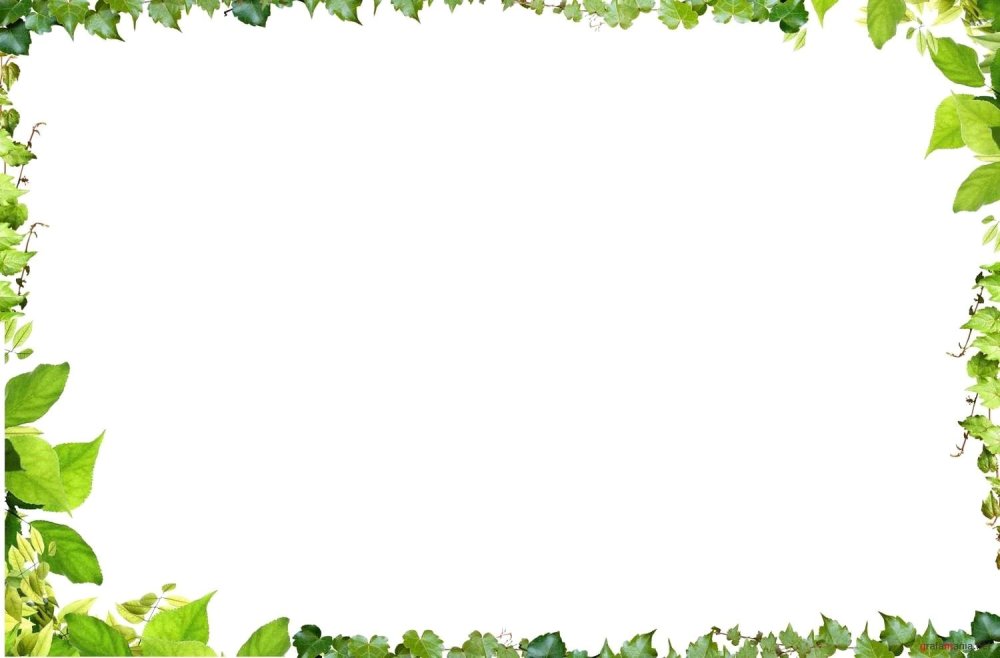 Рамка Весенняя на прозрачном фоне