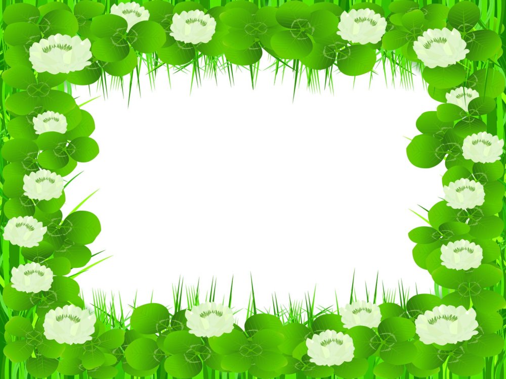 Экологическая рамка