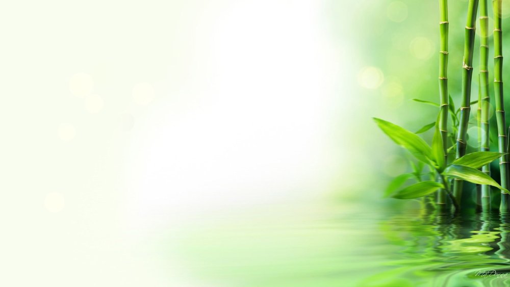 Фон для презентации по экологии