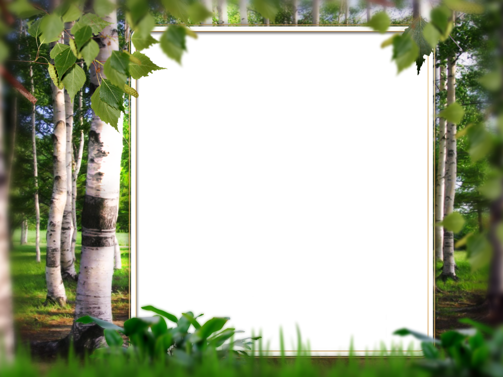 Рамка Березка