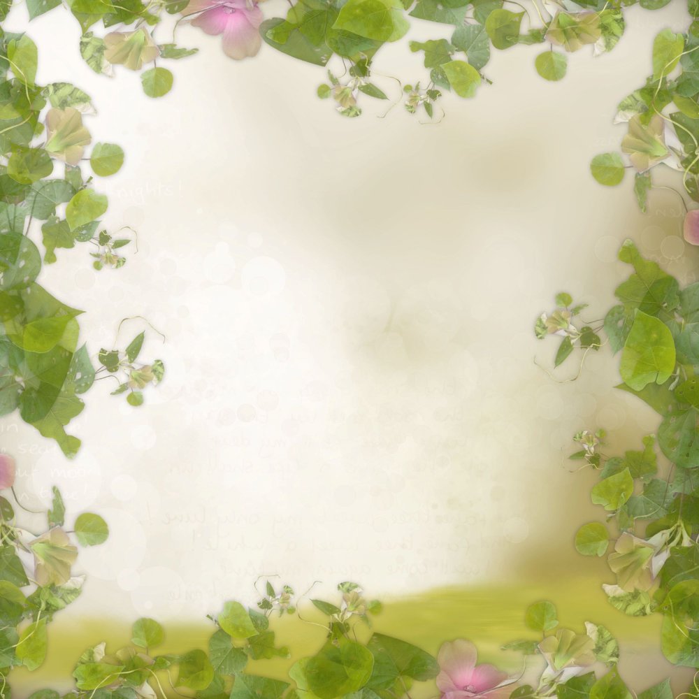 Красивый фон для текста природный