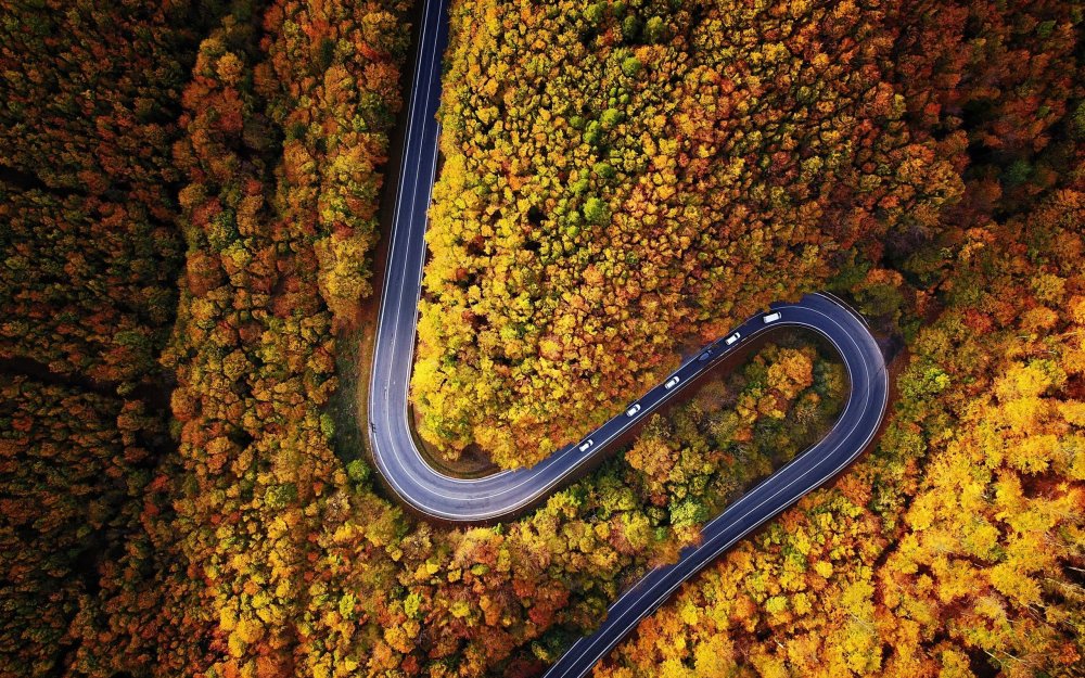 Дороги вид сверху