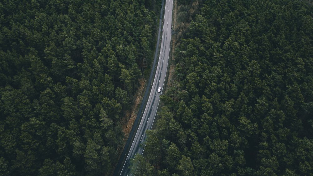 Прямая дорога вид сверху