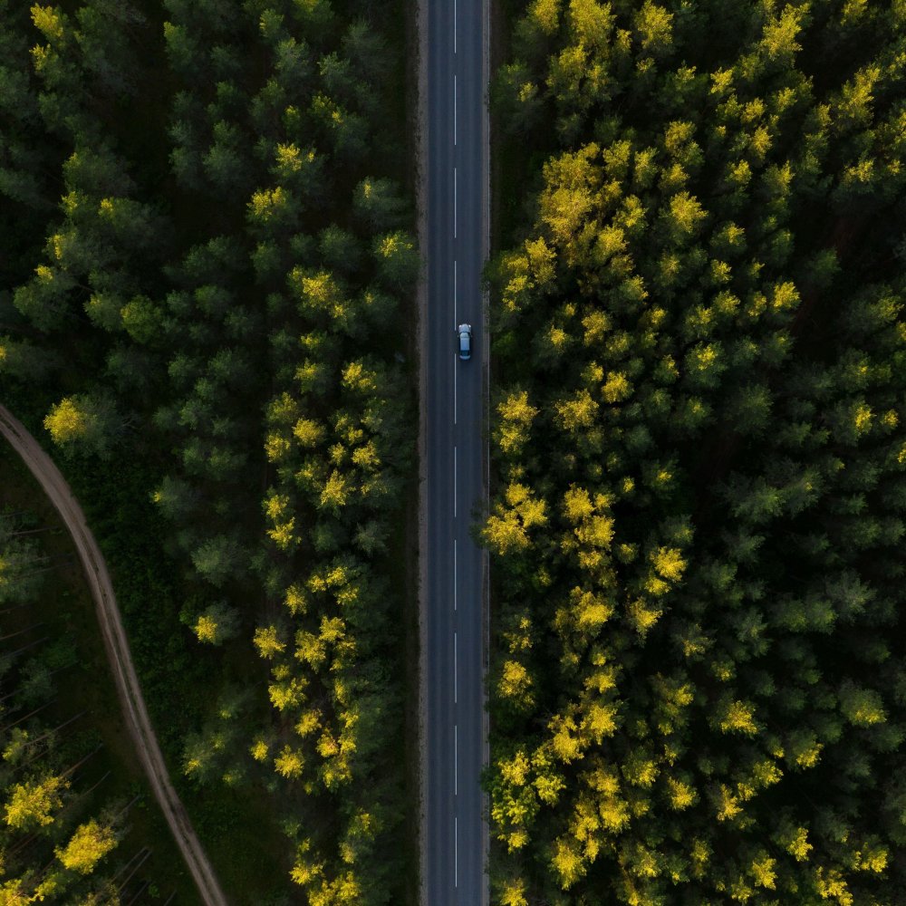 Дорога вид сверху