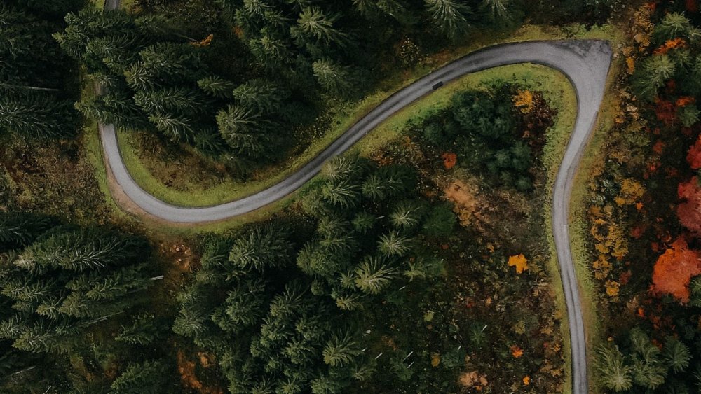 Лесная дорога вид сверху