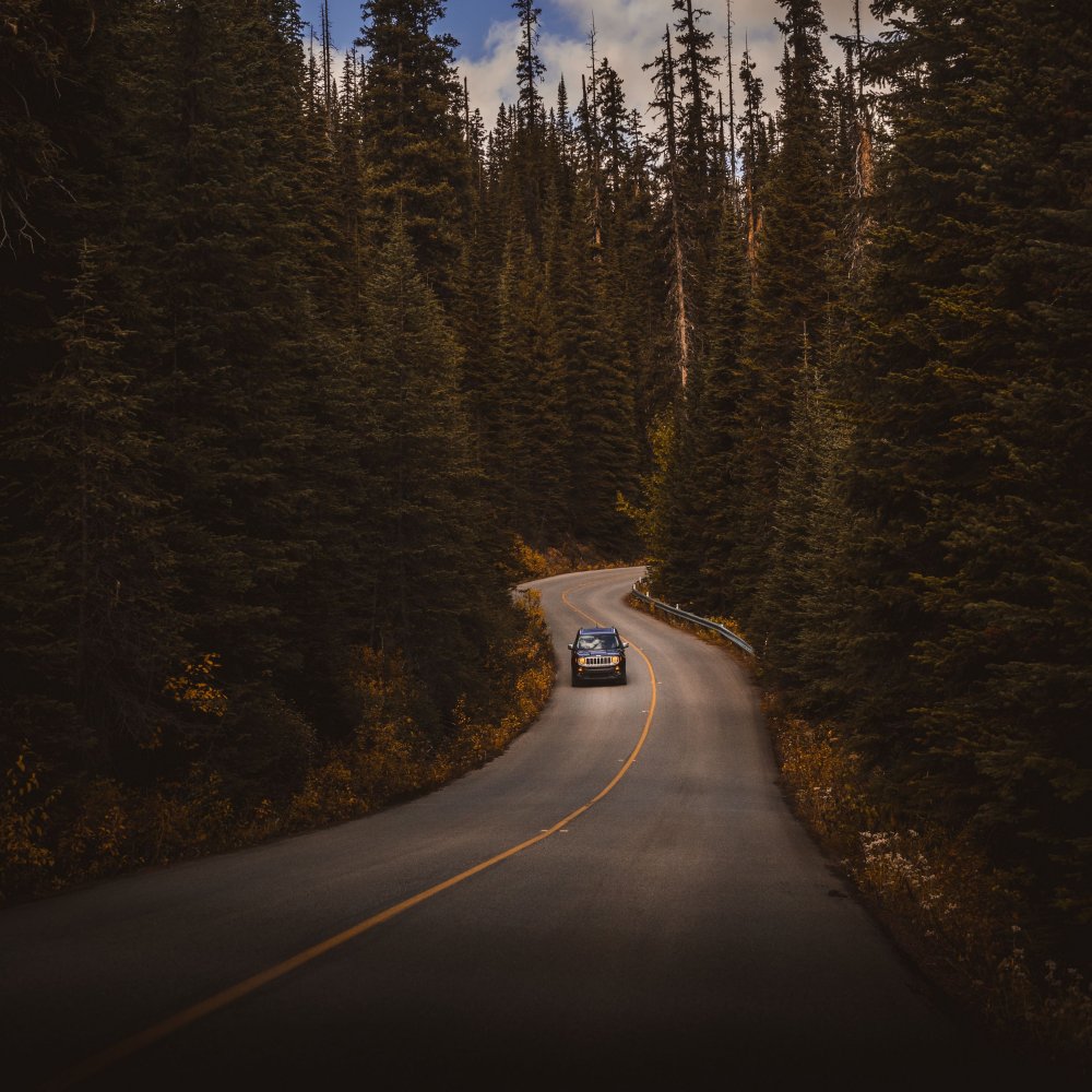 Автомобильная дорога