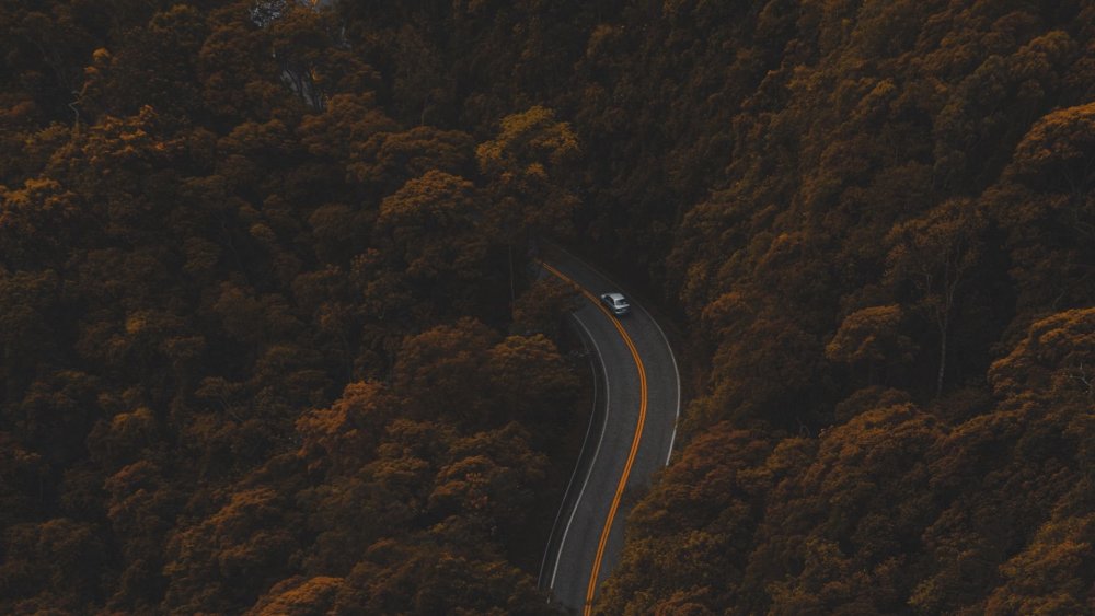 Трасса вид сверху