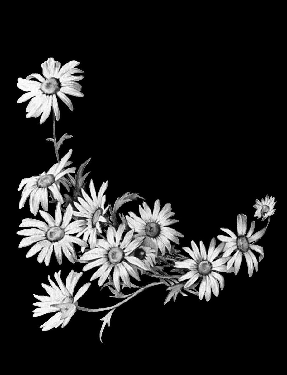 Цветы на памятнике гравировка