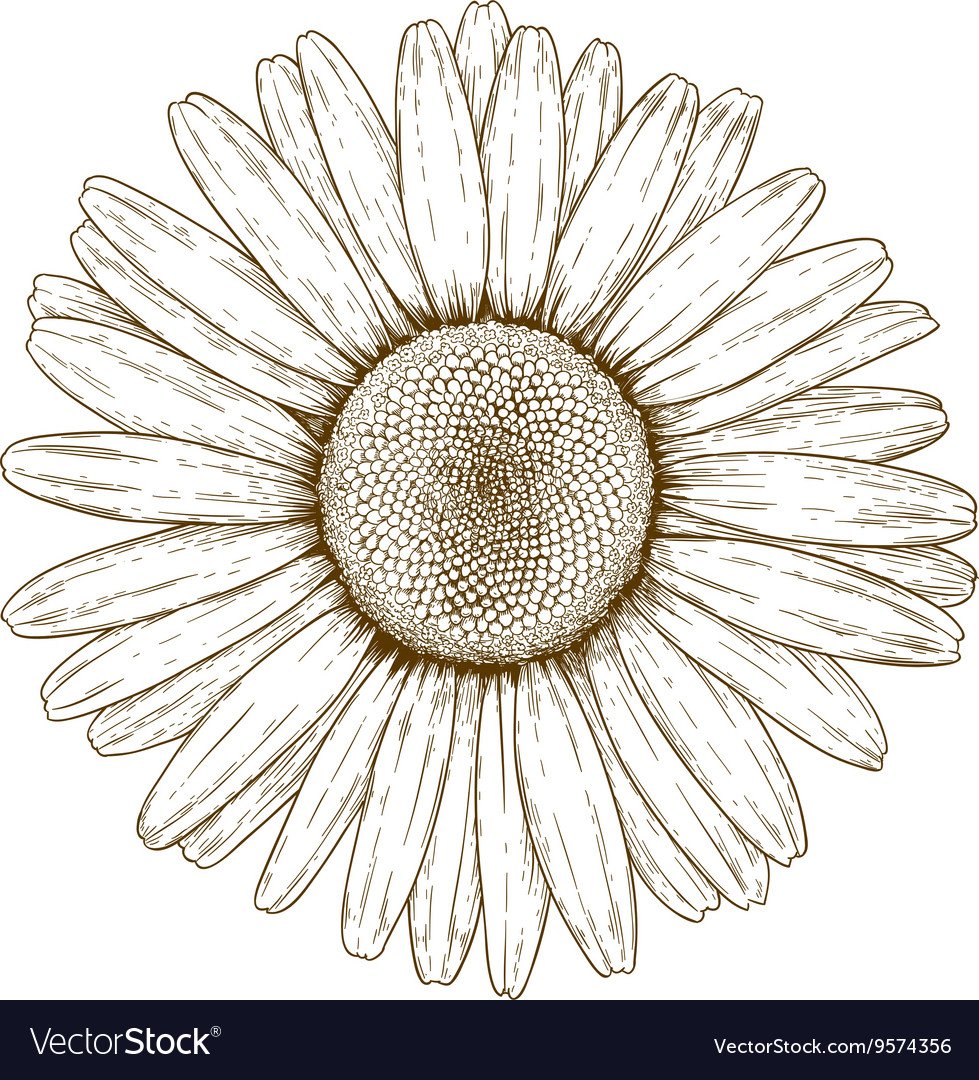 Цветы на памятник