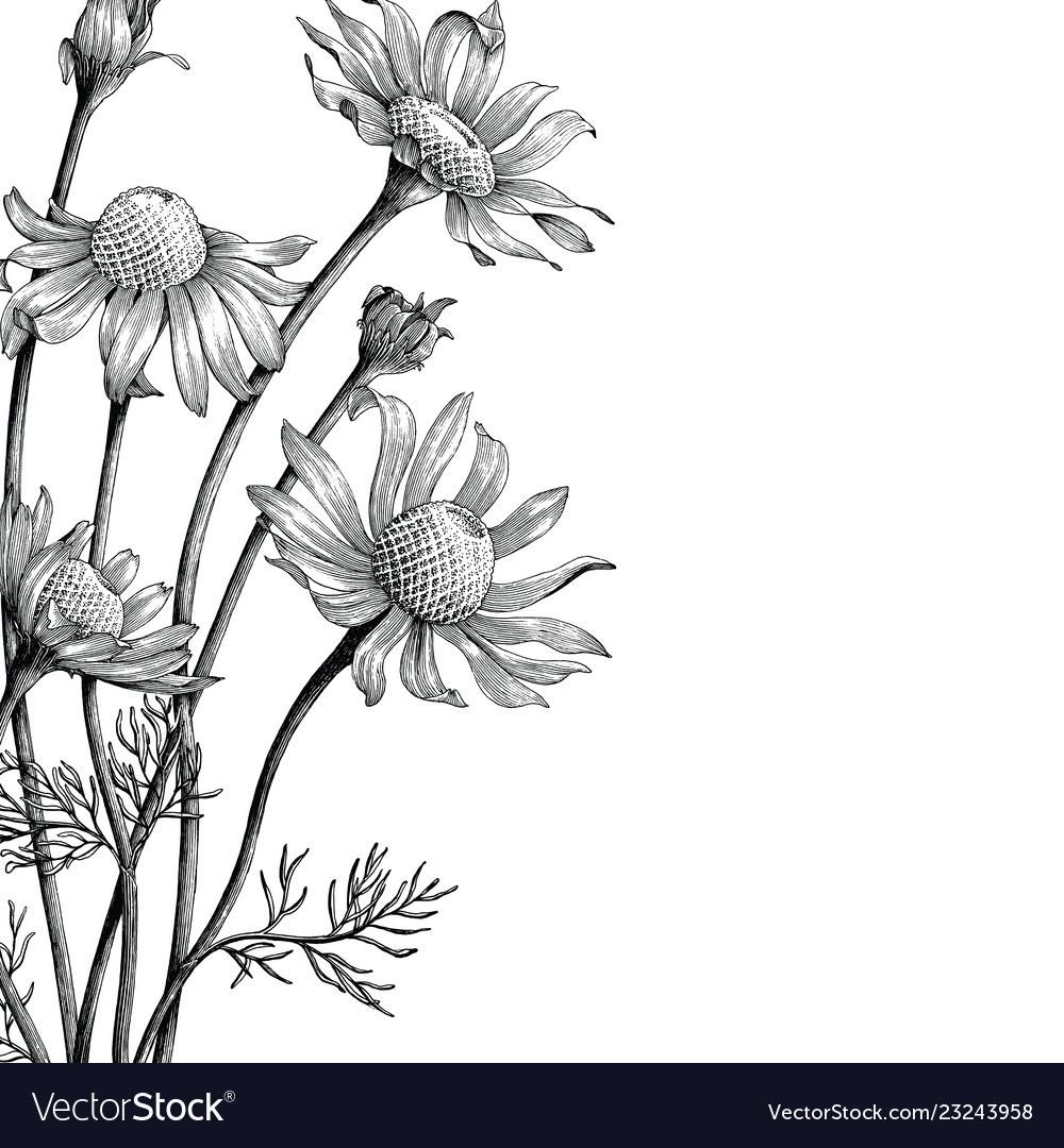 Уголки для гравировки