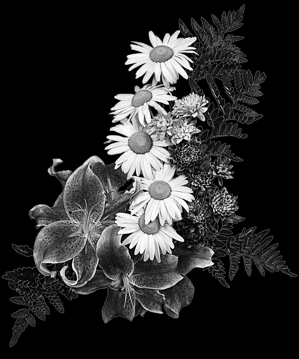 Ромашки гравировка