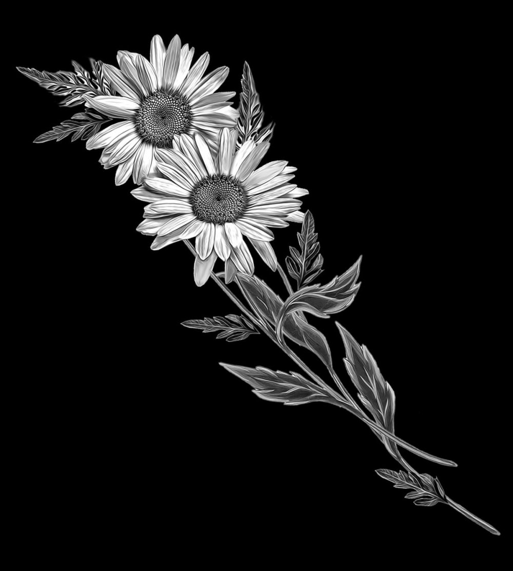 Гравировка подсолнух