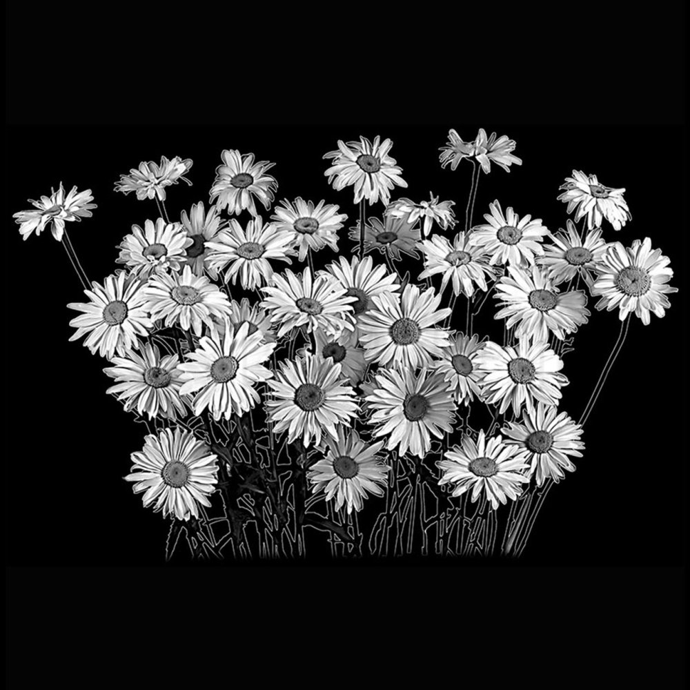 Цветы для гравировки