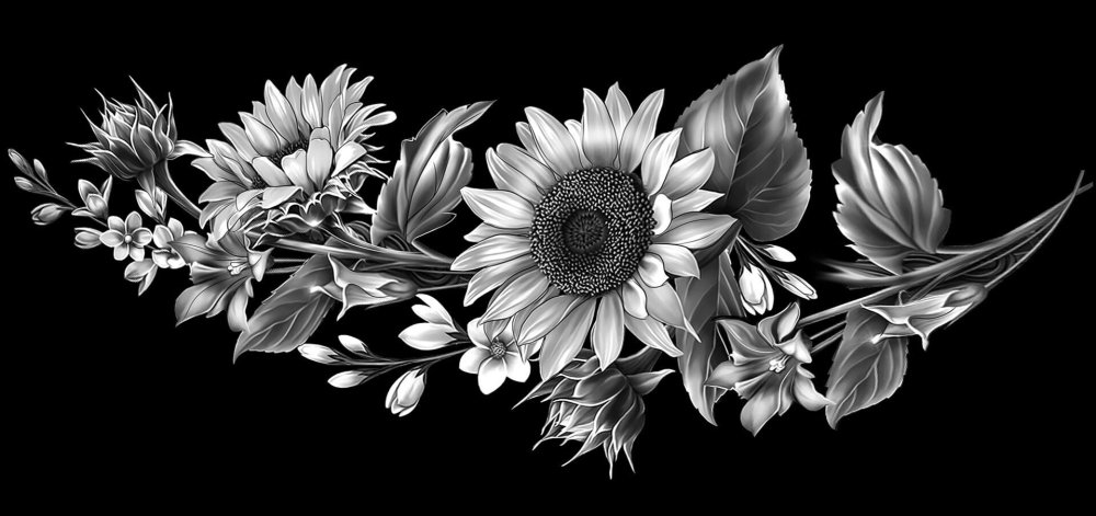 Ромашка черно белая