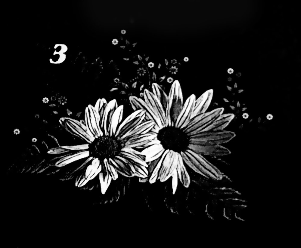 Ромашки паттерн