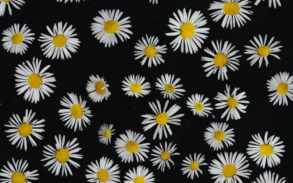 Цветы на памятнике гравировка