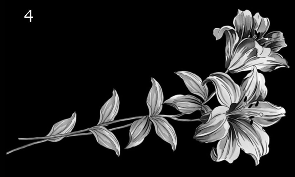 Черно-белый цветок